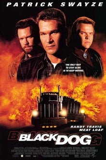 Black Dog (1998) ไอ้หมาบ้าผ่าไฮเวย์นรก