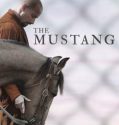 The Mustang (2019) ม้าป่าแสนพยศ