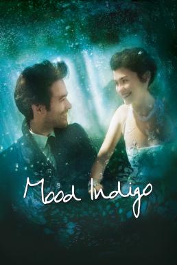 Mood Indigo (2013) รักนี้มหัศจรรย์