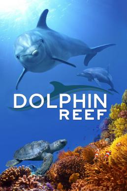 Dolphin Reef (2020) บรรยายไทย