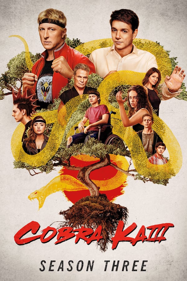 Cobra Kai Season 3 (2021) คอบร้า ไค ซีซัน 3