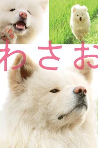 Wasao (2011) วาซาโอะ
